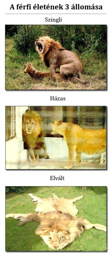 A férfi életének 3 állomása