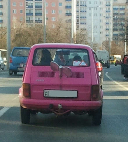 A nap képe - felhúzható kispolski 🙂