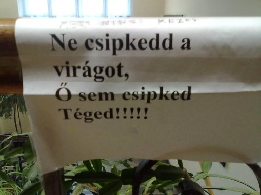 Beküldött