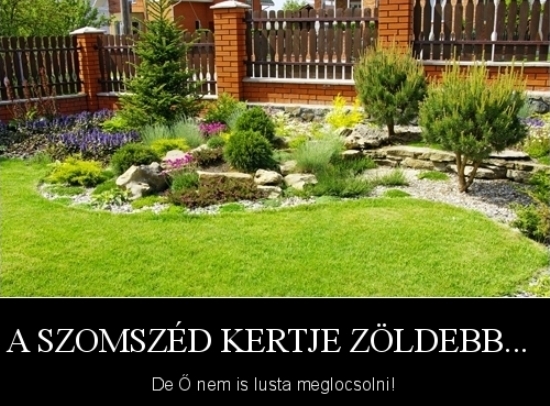 Önkritika