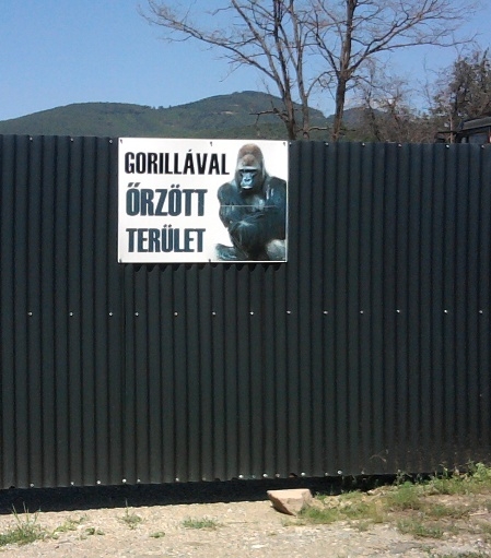 A kutya már nem menő 🙂