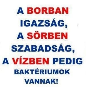 Napi bölcsesség