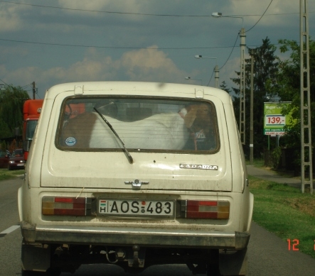 Eközben Jakabszálláson  . . .