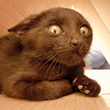 Mit mondasz?! - Holnap már hétfő !!?