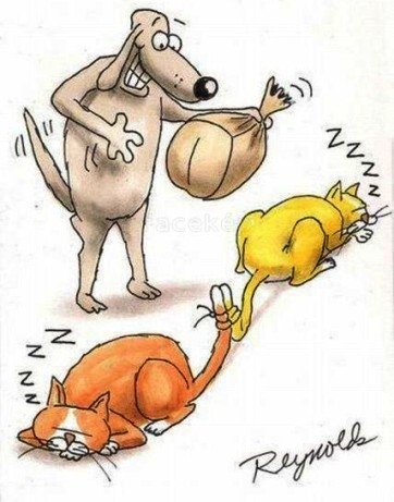 Egy kis tréfa - kutya módra