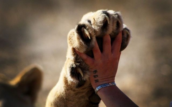 Ma is 30 fok lesz...adj egy ötöst !!