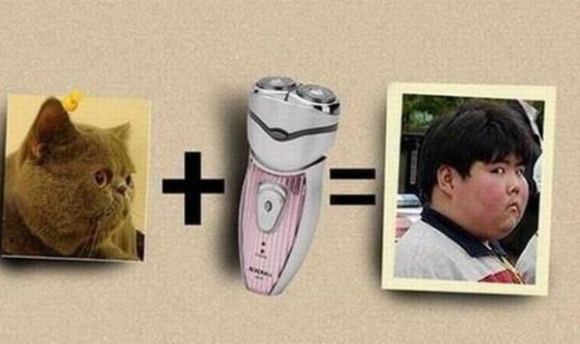 No comment...