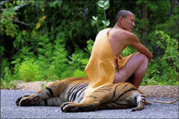 Hogy szusszan a shaolin pap két bemutató között ?