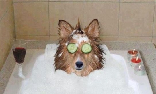 Csak, akkor aggódnék a korom miatt . . .