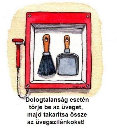 Napi tennivaló