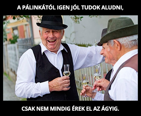Napi koccintások