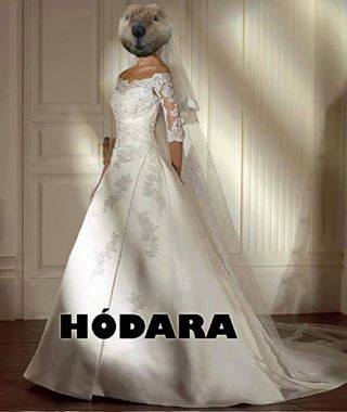 Napi fárasztó