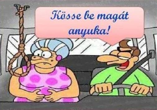 Anyósom megkért, hogy vigyem el ...