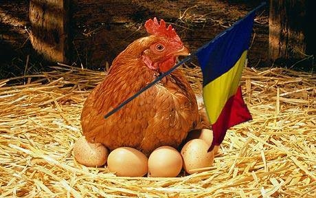Napi fejtörő