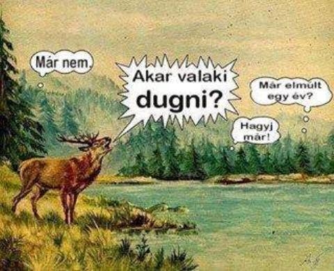 Itt van az ősz, itt van újra...