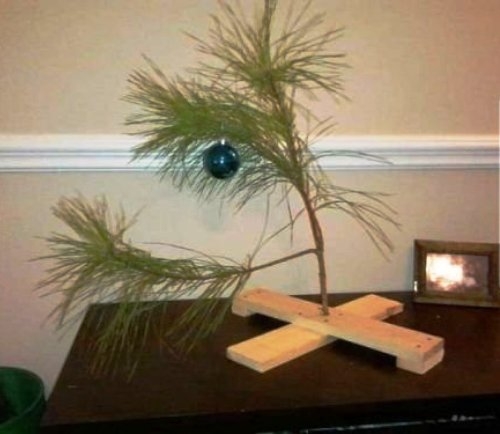 Én már megvettem a fát