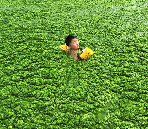 Eközben Kínában...