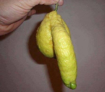 Vicces kedvű természet