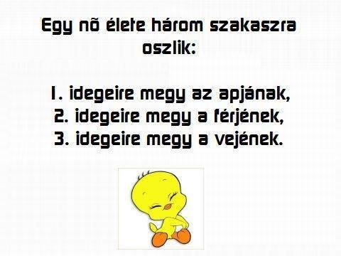 Napi tényfeltáró :P