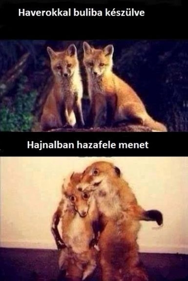 ...és tényleg 🙂