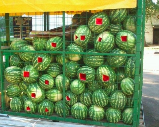 Próbálta védeni a portékáját...