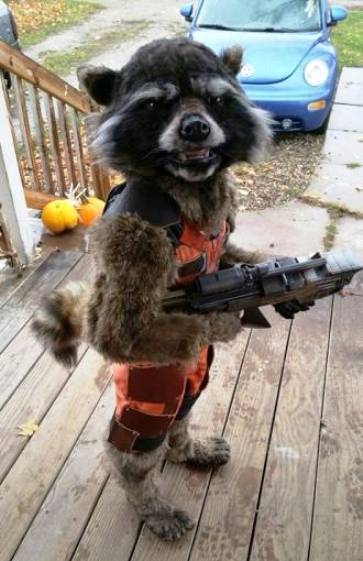 Ilyen egy ütős Halloween jelmez