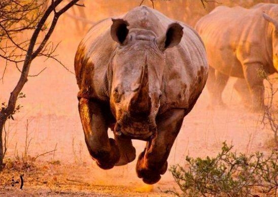 Anya jön haza a szülői értekezletről :P