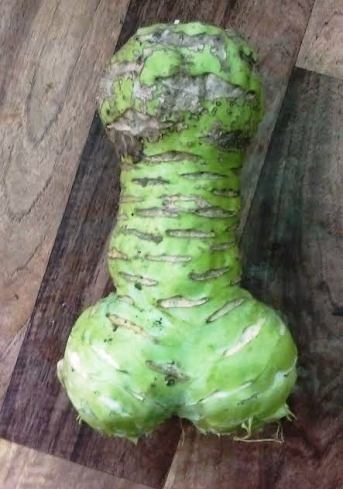 Egy karalábé az érmelléki kertekből...