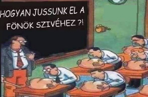 OKJ-s karrierépítő tréning