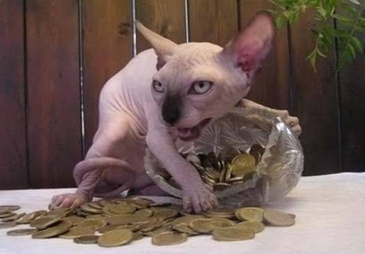 Amikor muterod elküld a boltba...