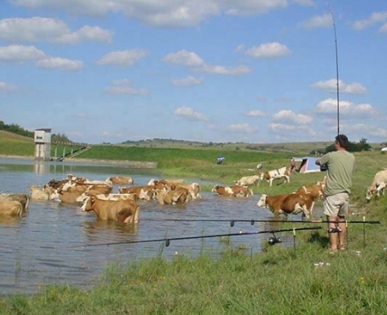 Frankó volt a hétvégi pecázás