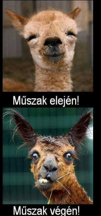 Kitartás mindenkinek!