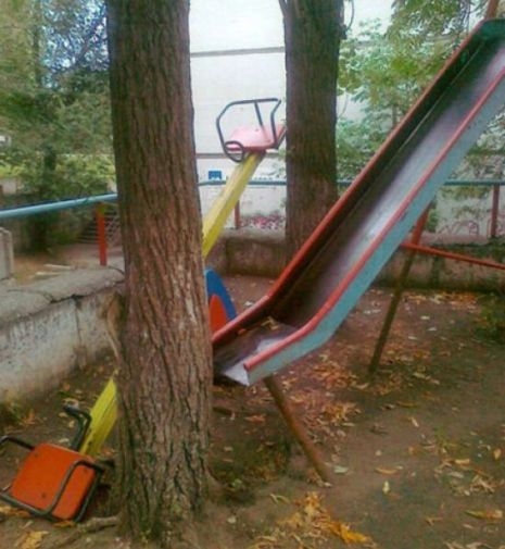 A fa mentségére szóljon, hogy ő előbb ott volt