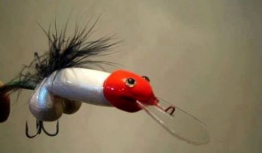 Erre vajon milyen hal harap?