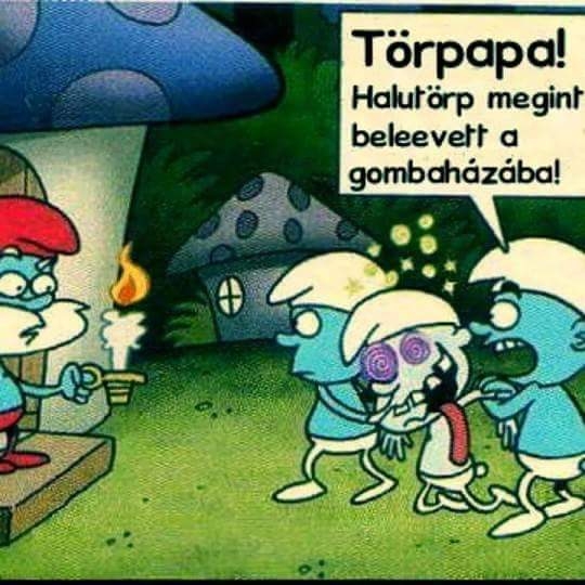 Begombázott