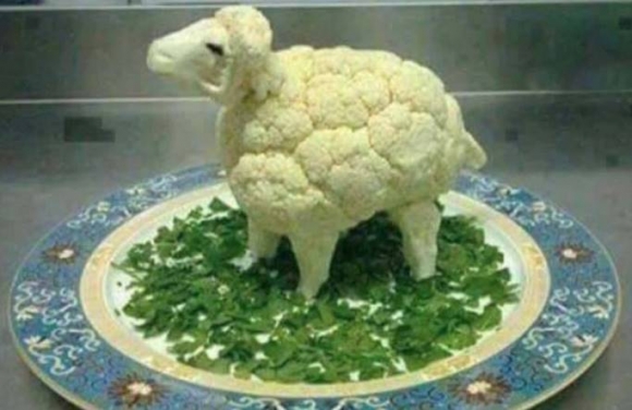 Ma a vega haveromat hívom ebédre :P