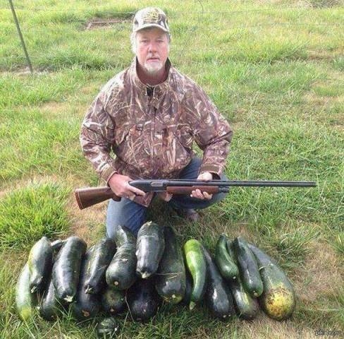 A nap hőse, a vega vadász