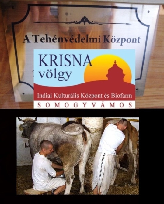 Programajánló - Krisna-völgy