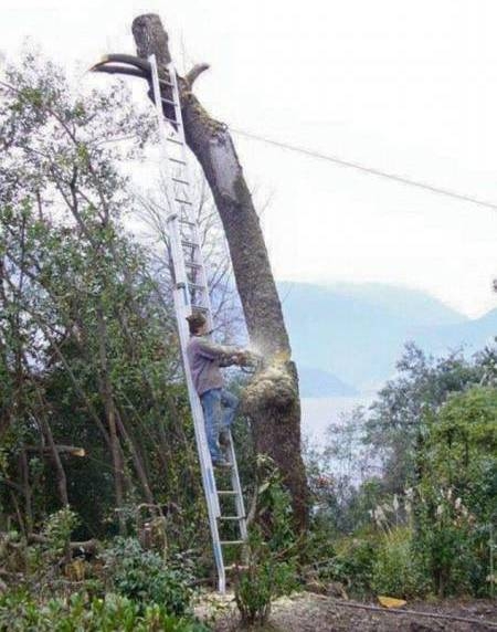 Én ezt átgondolnám a helyében mégegyszer...