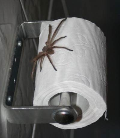 Amikor nem tudod, hol sikolt a csajod korán reggel 🙂