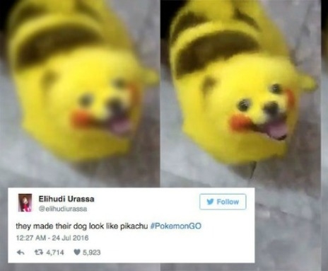 NapiNemNormális