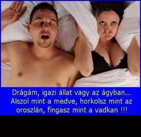Napi hasonlat