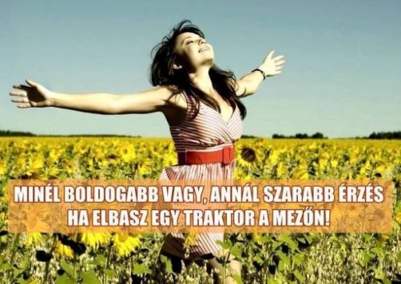 Pénteki bölcsesség