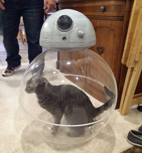 Olcsó BB-8 otthonra