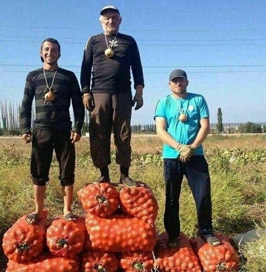 Falusi Olimpia