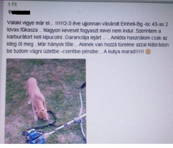 Üzlet bármi áron