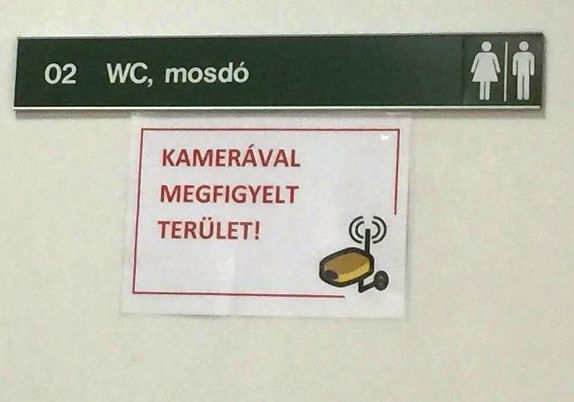 Vajon mire kíváncsiak?