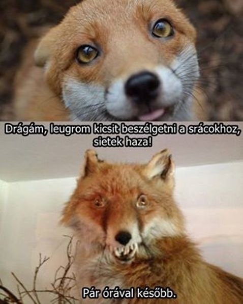 Többeknek ismerős lehet...