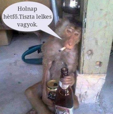 Holnap kezdődik a mókuskerék