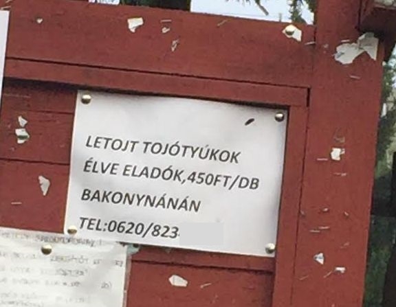 Máris befutott a hét ajánlata